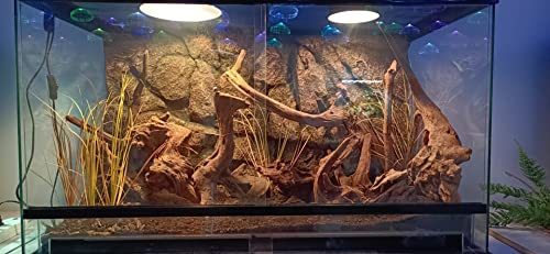 Fake Desert Dry Grass, Reptile Plants for Terrarium, Bearded Dragon Tank Accessories Habitat Decor fit Crested Gecko Leopard Lizard Chameleon Ball Python Snake - color: F-fake Desert Dry Grass