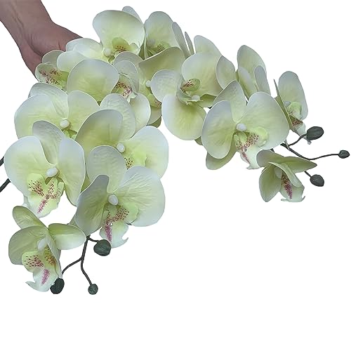 FagusHome 32 Inch Artificial Phalaenopsis Flowers 6 Pcs Artificial Orchid Flowers Stem Plants for Home Décor (Light Green), FH1000143 - color: Light Green