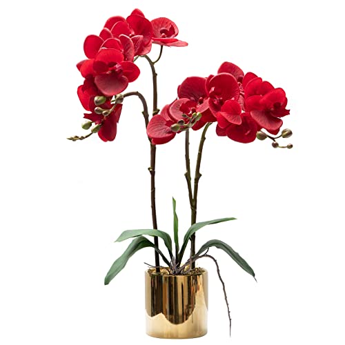 CXGS Artificial Orchid Flower Plant Real Touch Faux Orchids in Ceramic Vase Red 19.7'' Fake Phalaenopsis Flower Arrangement Centerpiece Home Indoor Decor - color: Red- Golden