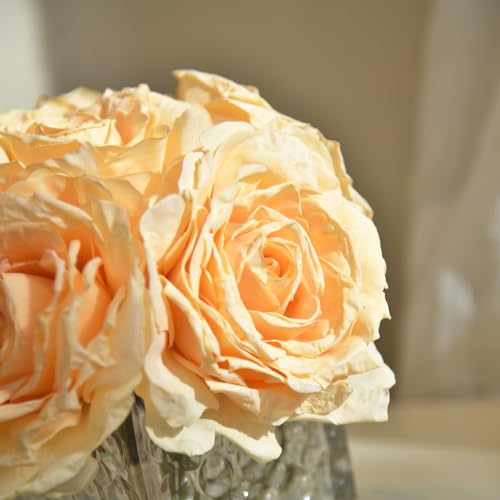 Artificial Rose in Glass Vase Vintage Silk Flower Arrangement with LED Light for Table Centerpiece Home Wedding Decoration (Champagne) - color: Champagne