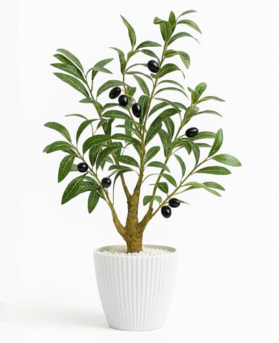 AceList Faux Olive Tree, 16.9 Inches Small Fake Olive Trees with White Pot, Realistic Fake Tree Potted Plant and Lifelike Fruits for Home Room Modern Farmhouse Decor - color: Olive