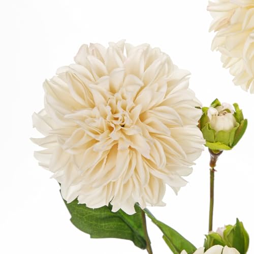 Hollyone Cream White Dahlia Artificial Flowers 5Pcs Fake Dahlia Flowers for Decoration Silk Flower with Long Stem 17" Floral Arrangements Bouquets Indoors Outdoors Faux Dahlias Centerpieces Home Decor - color: Cream