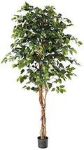 Nearly Natural 6ft Triple Trunk Artificial Ficus Tree with Natural Wood Trunks, Fake Tree for Indoor Home Décor, Faux Ficus Tree with Black Nursery Pot - size: 6ft, style: Tree in Pot