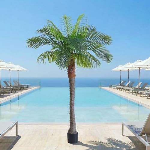 6FT Artificial Coconut Palm Tree, 1 Pack, UV Resistant Faux Sago Palm Plant for Indoor Outdoor, Realistic Large Tropical Decor for Home Office Patio Poolside Garden, Ready to Use in Cement Pot - color: 6ft - 1 Pack, size: 6ft