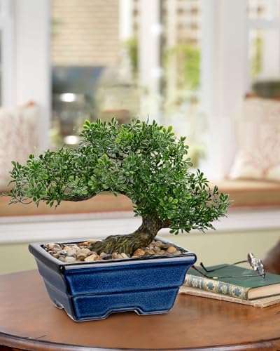 Artificial Bonsai Tree Faux Plants Indoor Fake Plants Decor with Blue Square Ceramic Pots for Home Table Office Desk Bathroom Shelf Bedroom Living Room Farmhouse Decorations - style: Ficus- glaze basin