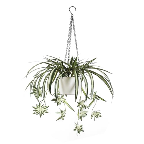 Sousi Artificial Spider Plants Hanging Baskets for Outdoor, Faux Silk Chlorophytum Comosum Summer Plants Fake Spider Plant with Pot for Outdoor Indoor Home Garden Office Decoreations - color: Green With Pot