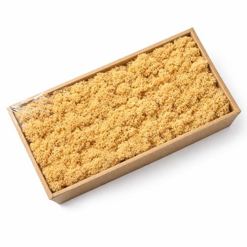 Preserved Reindeer Moss, 17.64oz Natural Decorative for Home Decor, DIY Crafts, Moss Wall Art, Terrariums, Floral Arrangements, Wedding & Holiday Decorations (Ginger) - color: Ginger