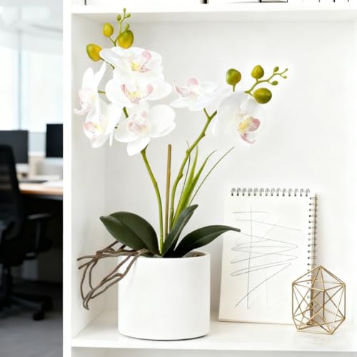 Jusdreen Artificial White Orchid in Ceramic Pot, Realistic Phalaenopsis Arrangement with Potting for Home Office Table Decor, 14.5 Inch Flower Centerpiece - color: Z/Ceramic-white