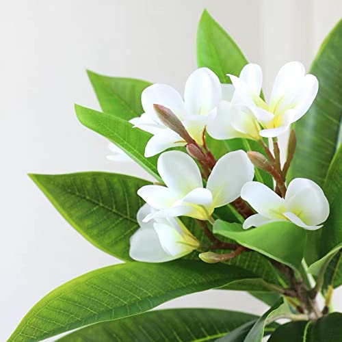 XIYUAN 35.5 Inch Artificial Flowers Artificial Frangipani Flower 2 Stems Lifelike Real Touch Artificial Plumeria Flowers for Home Party Wedding Bouquet Home Decoration (White) - color: White
