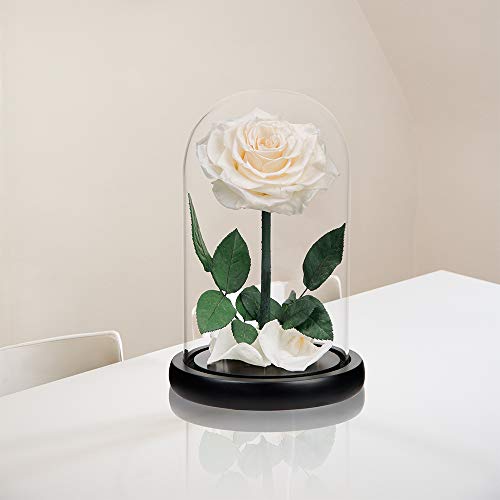 Preserved Roses White Roses Handmade Rose in Glass Dome, Preserved Flowers Never Withered Romantic Gifts for Her, Mother's Day, Birthday Gifts for Women (9 inch) - color: White, size: Large