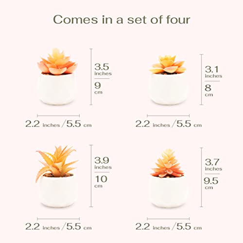 VIVERIE Mini Orange Artificial Succulent in Pots (White Ceramic, 4 Pot Set) Fake Plants for Indoors, Office Home Halloween/Christmas Decor Gifts-Faux Plant Gifts for Women - color: Orange