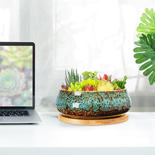 ARTKETTY Succulent Pots - 8 Inch Plant Pot, Large Bonsai Pots with Drainage Tray, Ceramic Planters for Indoor Outdoor Plants, Round Shallow Cactus Flower Plant Container Bowl Decorative Home Garden - color: Blue