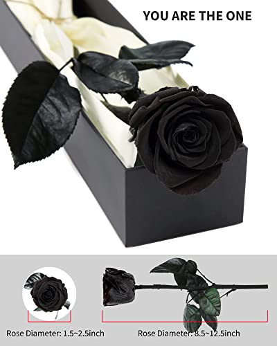 Preserved Rose, Preserved Flowers for Delivery Prime, Single Rose Flower Gifts for Women, Real Rose Presents for Her, Birthday Gifts, Valentines Flowers for Girlfriend - Black - color: 02-black