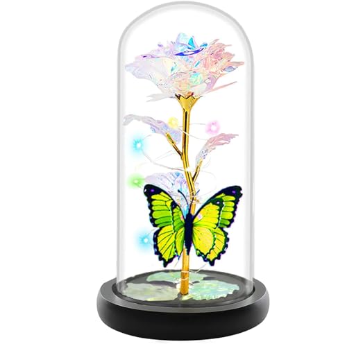 Fvawe Mothers Day Rose Flower Gifts for Mom, Birthday Gifts for Women, Galaxy Crystal Light Up Rose Flowers in A Glass Dome, Mother Day Presents Wife Grandma Sister Her Mom from Daughter Butterfly - color: A-gold