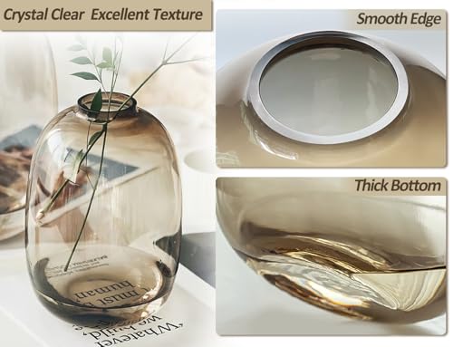 GeLive Brown Glass Vase Round Clear Colored Flower Vase for Centerpiece Long Stem Branch Fresh Artificial Plant Bottle Modern Home Indoor Decoration (Brown) - color: Brown