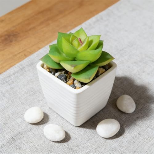 Artificial Succulent Plants in Pot - 1Pcs Small Wakame Realistic Fake Potted Succulents for Home Decor, Desk, Office, Bathroom, Windowsill - Indoor Houseplant for Bedroom, Kitchen, Shelf - color: Small Wakame