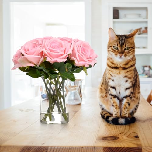 BLEUM CADE Luxury PU Fake Flowers in Vase with Faux Water, Pink Real Touch Roses Artificial Flowers with Glass Vase for Office Home Dining Room Centerpiece Table Decorations - color: Rose-pink