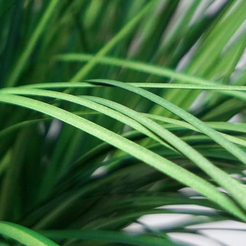 Artificial Tree in Geometric Pattern Planter, Fake Onion Grass Silk Tree for Indoor and Outdoor Home Decoration - 55" Overall Tall (Plant Pot Plus Tree) - style: Onion Grass