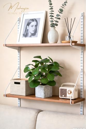 Muhanjia Artificial Potted Plant, Lifelike Faux Greenery in Decorative Cement-Look Square Pot for Indoor Home Decor Centerpieces (Peperomia) - color: Peperomia