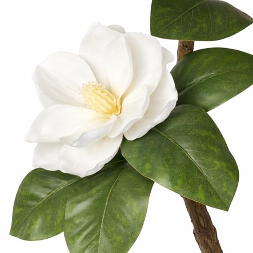 Rubber Tree 4.6 FT Artificial Magnolia Tree in Planter Pot, Faux Plants Indoor Faux Floor Plant Artificial Plants with 7 Pcs Calla Lily Flowers for Home Office Living Room Decor Indoor - color: Rubber Tree White