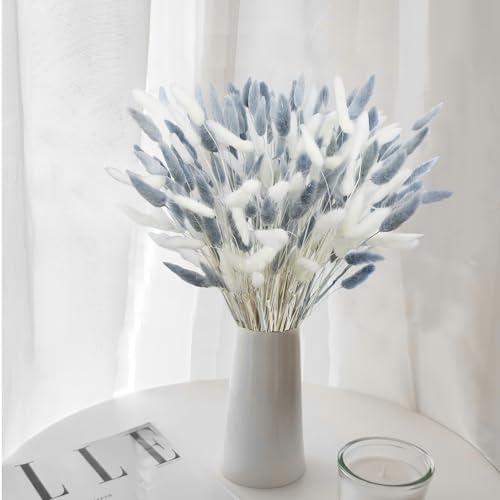 CITYES 120Pcs Dried Bunny Tails Flower Lagurus Ovatus Natural Dried Flowers Rabbit Tail Grass Gray and White Dried Pampas Grass Dried Floral Arrangement for Boho Decor Wedding Home DIY Farmhouse Table - color: White and Grey
