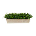 19in. Eucalyptus Artificial Plant in Decorative Planter - size: 19 in. W x 5 in. D x 8 in. H