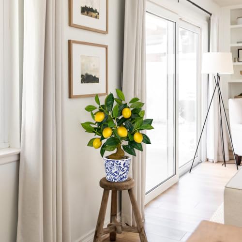 Artificial Potted Plants, 15.7 inches Small Fake Lemon Tree Artificial Lemons Citrus Tree with Blue and White Pot Faux Potted Plants Indoor Lemon Decorations for Home, Office, Living Room Table, Desk - style: French Country
