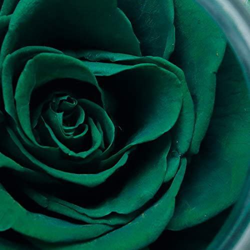 Preserved Real Roses with Colorful Mood Light Wishing Bottle,Eternal Rose，Never Withered Flowers,for Bedroom Party Table Decor, Christmas Decorations,a Gifts for Women 4.3inch1pcs (Green) - color: Green