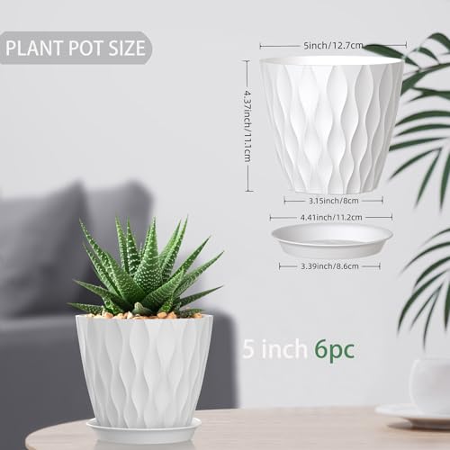 5 Inch Planter Pots, 6 Pack Indoor Planters, Small Flower Pots with Drainage Holes and Tray for Succulents, Orchids, Herbs and Other Indoor Plants (White, 5inch) - color: White, size: 5inch