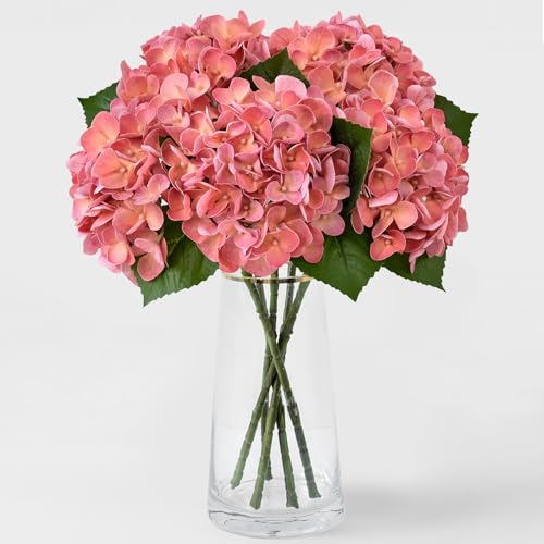ZYTUYO 5PCS Coral Peach Hydrangea Artificial Flowers Small Fake Latex Real Touch Hydrangeas Flowers with Stems Faux Silk Bouquet for Home Decor Table Wedding Party Outdoor Centerpieces - color: Coral Peach