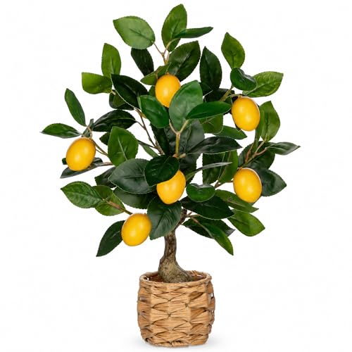 Oairse Artificial Potted Plants 17.3 inches Small Fake Lemon Tree Artificial Lemons Citrus Tree with Woven Pot Faux Plants Indoor Lemon Decorations for Home,Office, Living Room Table, Desk - style: Woven Pot