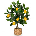 Oairse Artificial Potted Plants 17.3 inches Small Fake Lemon Tree Artificial Lemons Citrus Tree with Woven Pot Faux Plants Indoor Lemon Decorations for Home,Office, Living Room Table, Desk - style: Woven Pot