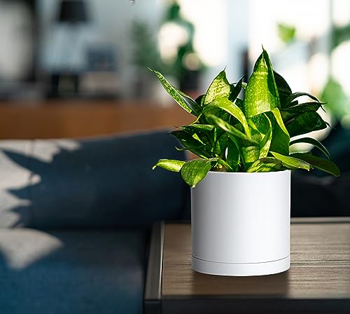 D'vine Dev 2 Pack 5.5 Inch Modern Plastic Plant Pots, Small Garden Planters for Plant with Drainage Holes and Saucers, White Color, 74-Z-H-1 - size: 5.5"