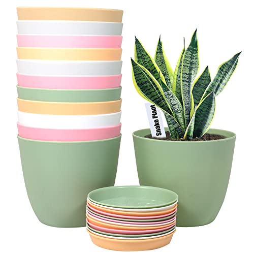 SwinDuck 6 Inch Plant Pots, 12 Pack Plastic Planters Modern Flower Pot with Drainage Holes and Saucers for All House Plants, Herbs, Flowers and Seeding Nursery, Colorful - color: Colorful
