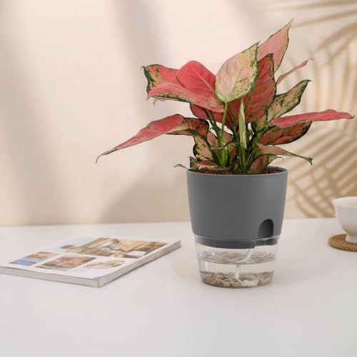 Vanavazon 6 Inch Self Watering Planter Pots for Indoor Plants, 3 Pack African Violet Pots with Wick Rope-Grey - color: Gray