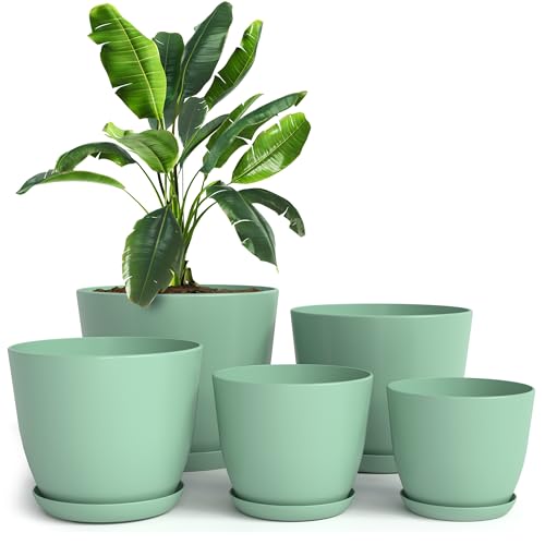 Utopia Home - Plant Pots Indoor with Drainage - 7/6.6/6/5.3/4.8 Inches Home Decor Flower Pots for Indoor Planter - Pack of 5 Plastic Planters for Indoor Plants, Cactus, Succulents Pot - Mint - color: Mint, size: Pack of 5