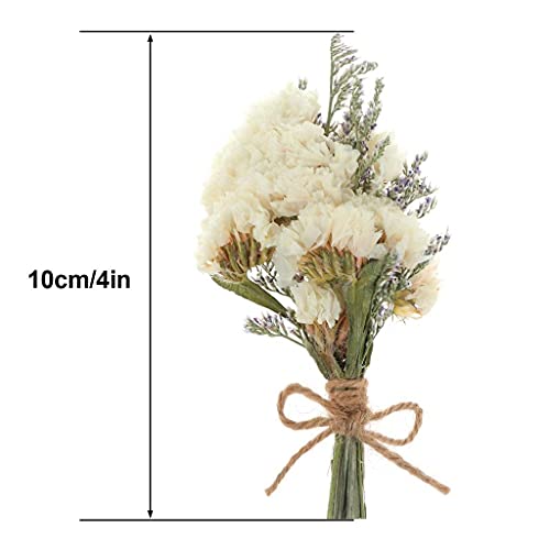 WWahuayuan 8 Pcs Mini Gypsophila Daisy Dried Flowers Bouquets for DIY Craft, Home, Wedding Decor - color: Type1