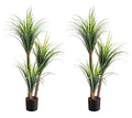 Pair AMERIQUE Gorgeous & Unique 3.5 Feet Yucca Artificial Plant Trees with Nursery Pot, Feel Real Technology