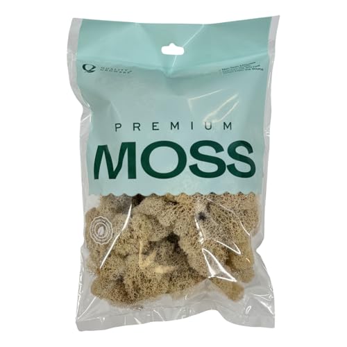 Preserved Reindeer Moss - Moss for Crafts, Home Decor, Art, Design & DIY Projects - Non-Toxic - USA Made (Natural, Medium) - color: Natural, size: Medium