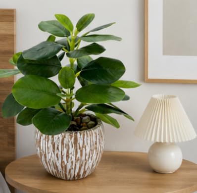 Artificial Potted Plants Life-Like Fake Plant with Farmhouse-Style Cement Planter Feturing Light Wood Tone for Room Bathroom Bedroom Kitchen Office Dese Coffee Table Décor (9inch) - size: Ficus 9inch