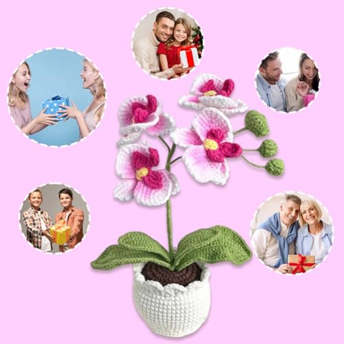 Handmade Crochet Phalaenopsis Orchid Potted Plants Knitted Artificial Orchid Phalaenopsis Flowers with Exquisite Pot for Home Office Wedding Table Centerpiece Decoration,Pink - color: Pink