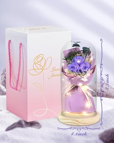 HVY Preserved Flower Bouquet Gift for Her,Forever Fresh Flowers for Delivery Prime Preserved Roses in Glass with LED Light Mothers Day Birthday Gifts for Mom,Wife,Grandma, Purple Rose - color: Purple Rose