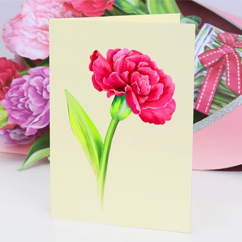 Airpark Pop Up Flower Cards, 3D Paper Flowers Bouquet Birthday Card 10’‘ with Blank Note and Envelope, Mother's Day, Get Well Greeting, Anniversary, Thank You Gifts Cards for Women Mom Girls Friends, Pink Carnations - style: Pink Carnations