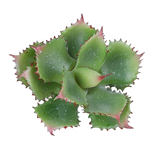 Duovlo Artificial Succulent Plant 7.08 Inch Faux Succulents Agave potatorum Flower Arrangement Craft Wall DIY Materials Pack of 2 (Green) - color: Green
