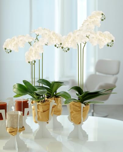 Orchids Artificial Flowers 6PCS Silk Orchids 35" Fake Orchid Stems Artificial Orchids that Look Real for Wedding Home Table Centerpieces Decor(Cream White) - color: Cream White