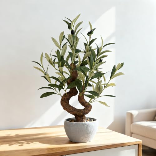 TOARTi Artificial Olive Tree Potted Plant with Stone Pot, 10" Tall Japanese Bonsai Tree Faux Plants Desk Plant, Realistic Greenery Decor for for Home Bedroom Bathroom Office Desk - color: Olive-single Stem Small Arc 10''