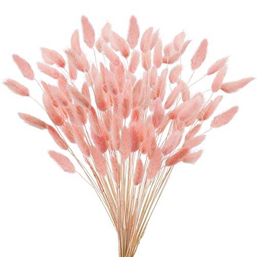 Uieke 17’’ Natural Bunny Tails Dried Flowers, 120 Pcs Dried Lagurus Ovatus, Dried Pink Pampas Grass Decor for Farmhouse Flower Arrangements Wedding Home Boho Party Decorations - color: Pink-120pcs