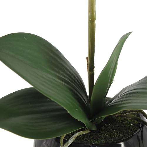 Orchids in Ceramic Pottery,Fake Orchid with Real Touch Stems, Faux Orchid Flowers for Artificial Flora Table Arrangement Centerpiece,Gift for Mom,Wife,Friends.Home & Office Decoration(16in White)