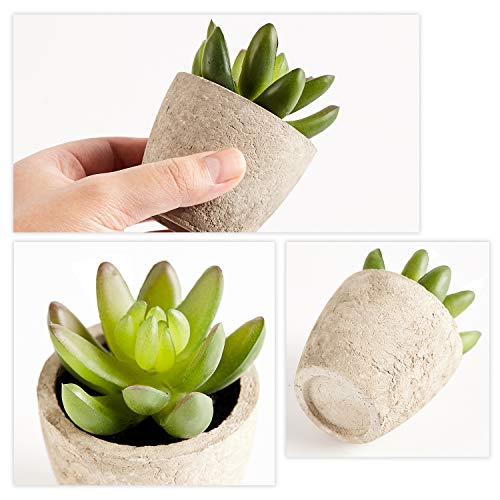 Artificial Succulents Plants Potted Set-Decorative Fake Succulent Plant Faux Plastic Plant Indoor &Outdoor for House Office Desk Bathroom Kitchen DIY Decor Gift Set of 6
