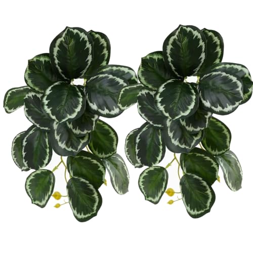 Reptile Plants for Terrarium, Amphibian Habitat Decor Artificial Hanging Plants with Suction Cup, Artificial Plants for Gecko Chameleon Snake Tortoise Tank Accessories. 2-Pack (Calathea makoyana) - color: (Calathea Makoyana